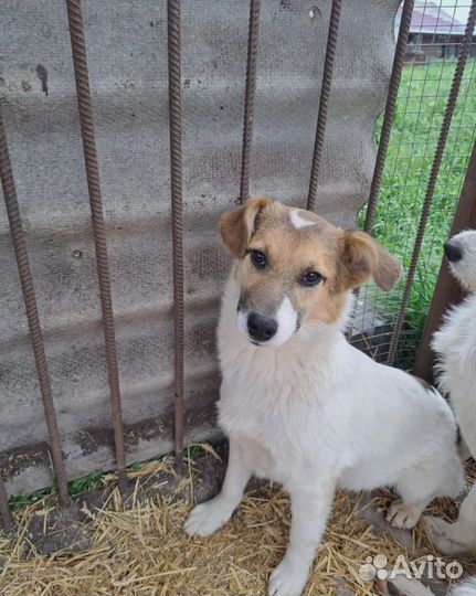 Некуда идти 2