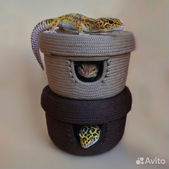 Влажная камера для рептилий