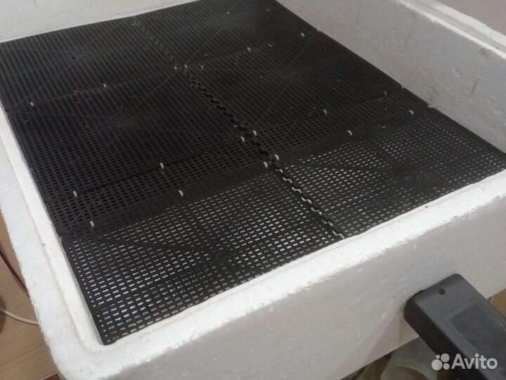 Инкубатор для яиц автоматический бу