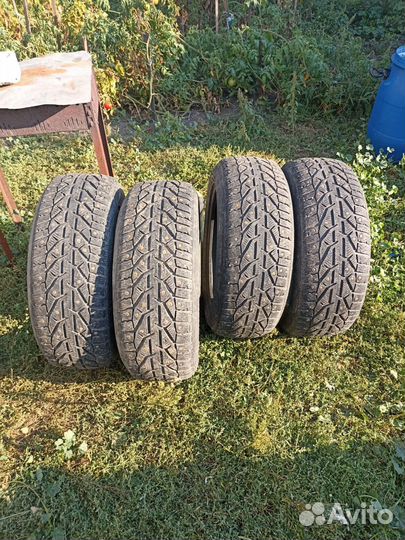 Tigar SUV Ice 215/60 R17 100T