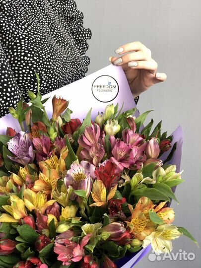Альстромерия микс цветы оптом букеты