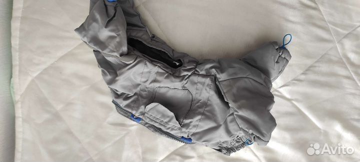 Прогулочный комбинезон на мелких собак