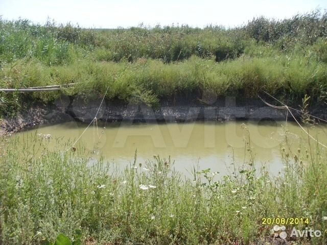 Участок 77 сот. (ИЖС)