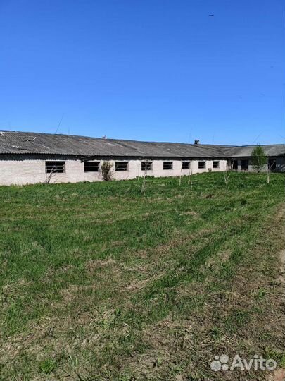 Фермерское хозяйства