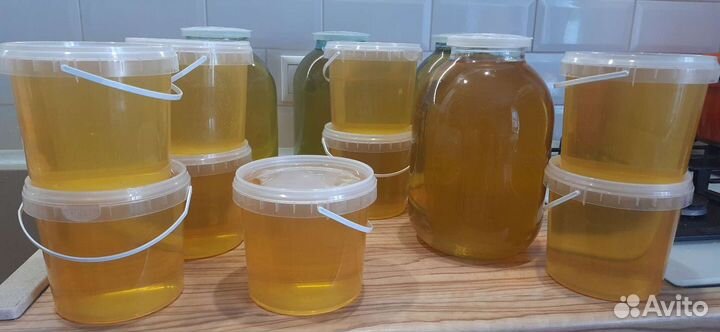 Мёд, качали июне 2023 г