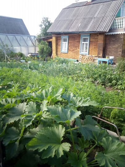 Дача 36 м² на участке 4,1 сот.