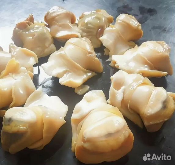 Мясо рапана с/м
