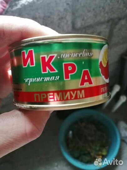Красная икра