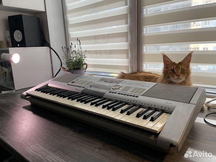 Yamaha psr295