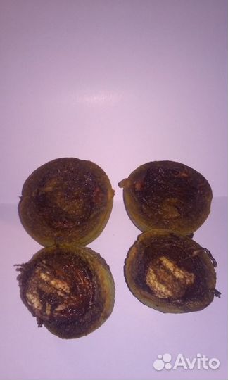 Семена черного американского ореха. Крым2022