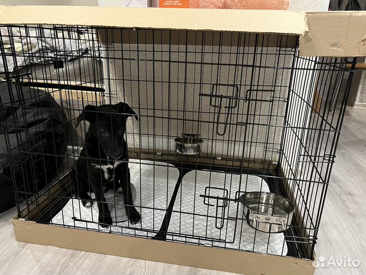 Вольер для собак,клетка