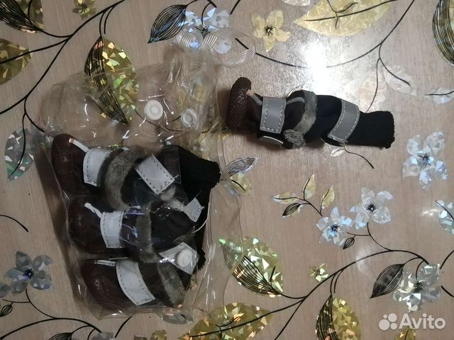 Ботинки для собак