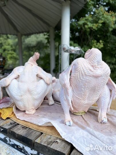 Перосъемная машина