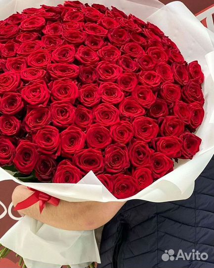 Розы гиганты 140 150 160 170 180 200