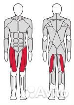 FTX-FF87 Комбинированный разгибатель-сгибатель бед