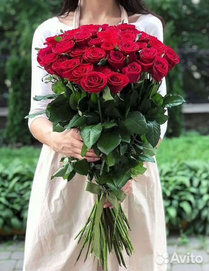 Высокие розы Гигантские розы 110