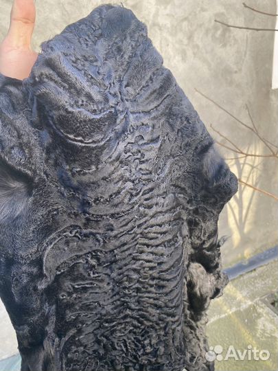 Шкура каракуль