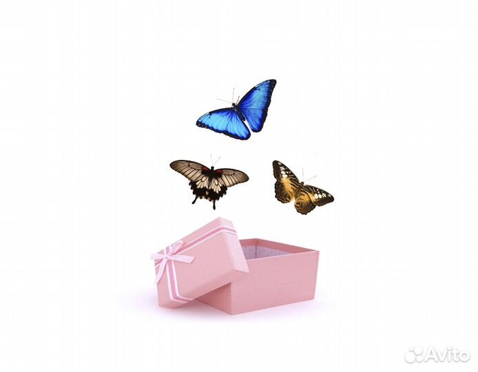 Салют из бабочек на праздники и торжества