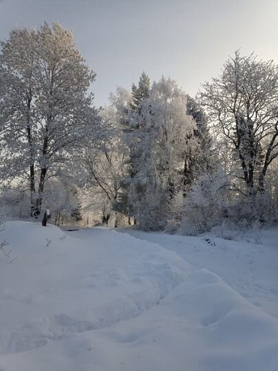 Участок 12 сот. (ИЖС)