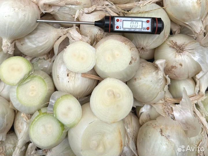 Лук Оптом Стардаст на перо в Ростовской области