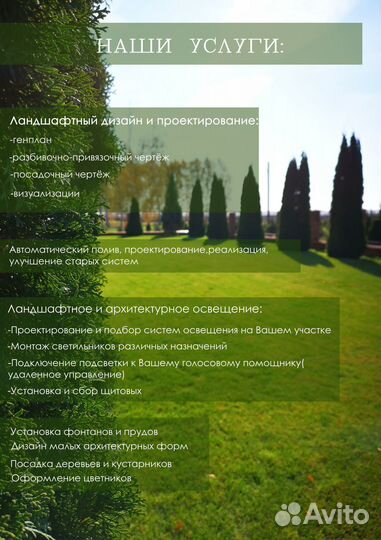 Автополив под ключ