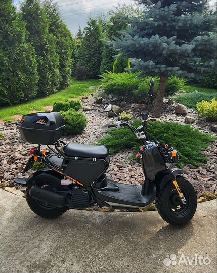 Honda Zoomer