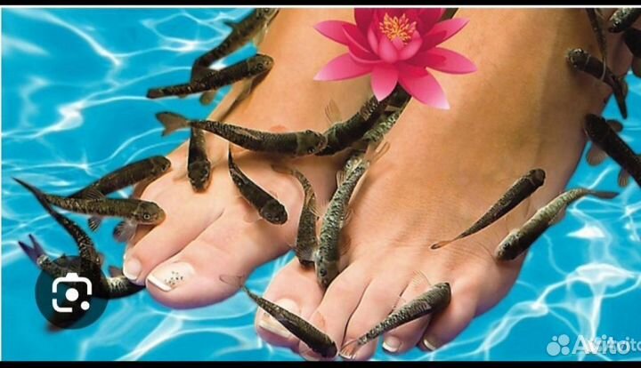 Администратор на точку аква - пилинг