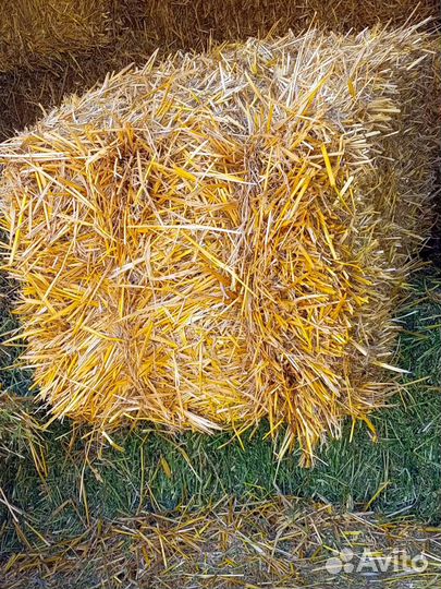 Ячменная солома в тюках