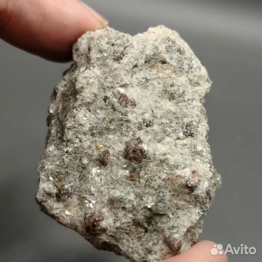 Гранаты в слюдистом сланце, образец