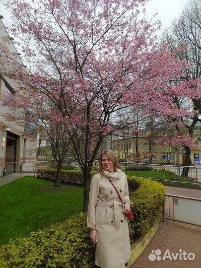 Тур в Калининград