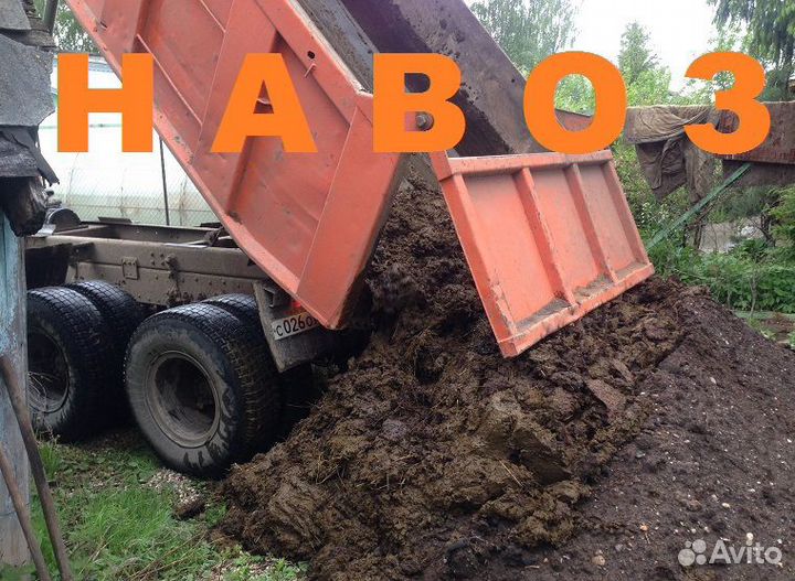 Перегной прелый, навоз свежий не жидкий