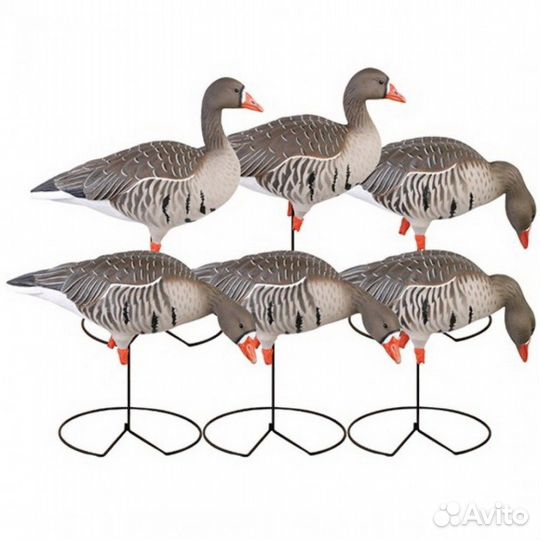 Набор гусей Pro-Grade Full Body Specklebellies