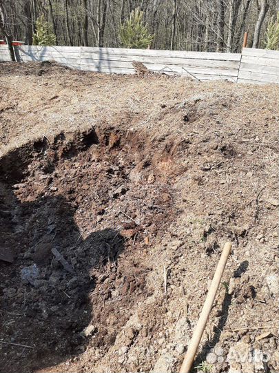 Конский навоз