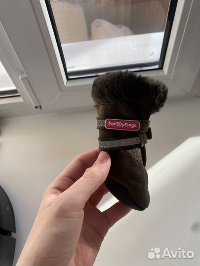 Обувь для собак