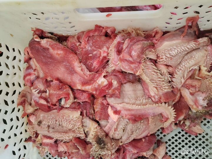 Корм для собак (мясо с голов говядины)