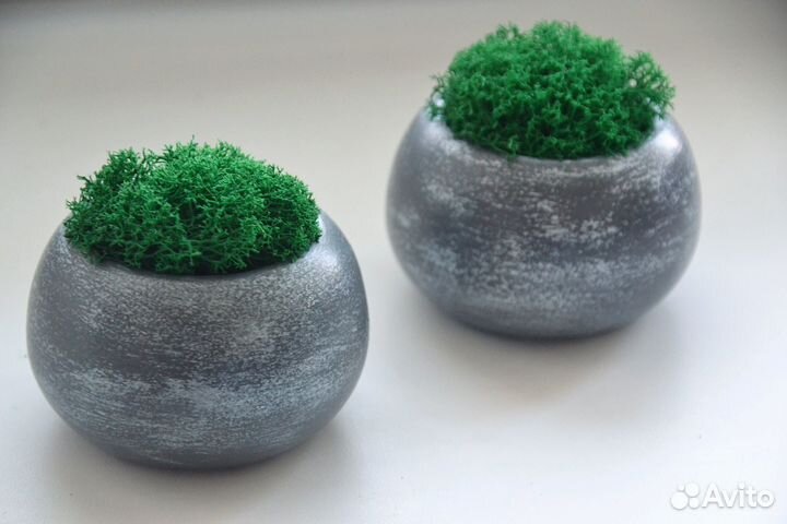 Капшо с мхом