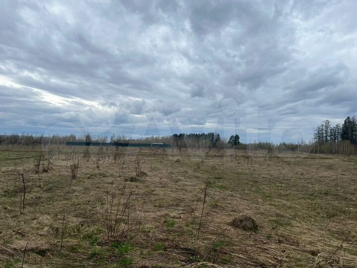 Участок 30 сот. (ИЖС)