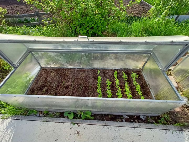 Дача 20 м² на участке 6 сот.