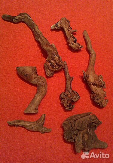 Коряжки дрифтвуд морские