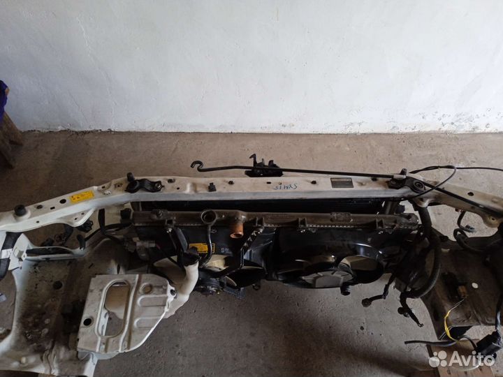 Ноускат ipsum 10 кузов