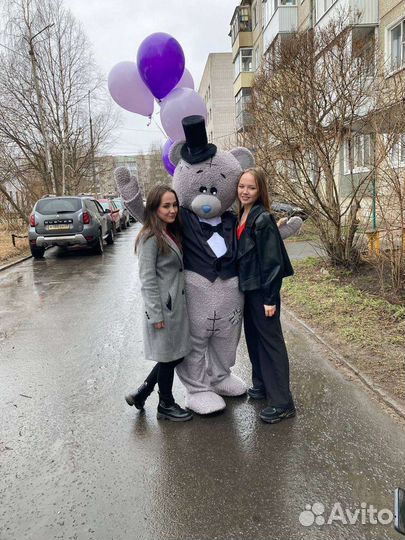 Ростовая кукла мишка тедди поздравит с торжеством