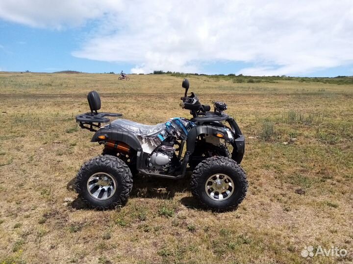 Квадроцикл grizzly 250