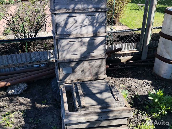 Все для разведения пчёл