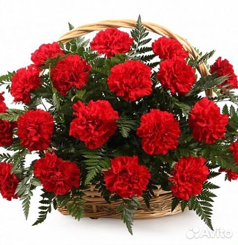 Ритуальные, траурные живые цветы на похороны