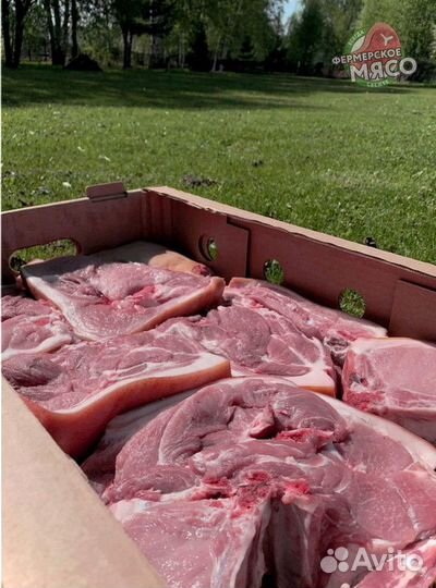 Мясо свинина