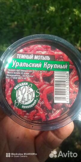 Мотыль Червь Опарыш дому в Лучке