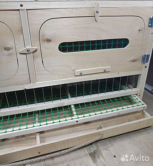 Брудер для цыплят