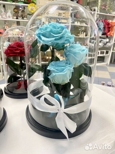 Роза в колбе