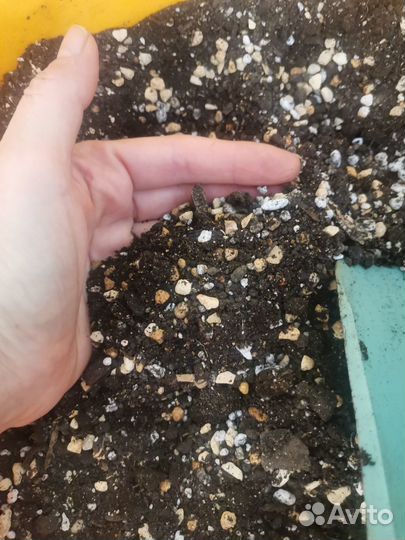 Грунт для комнатных растений