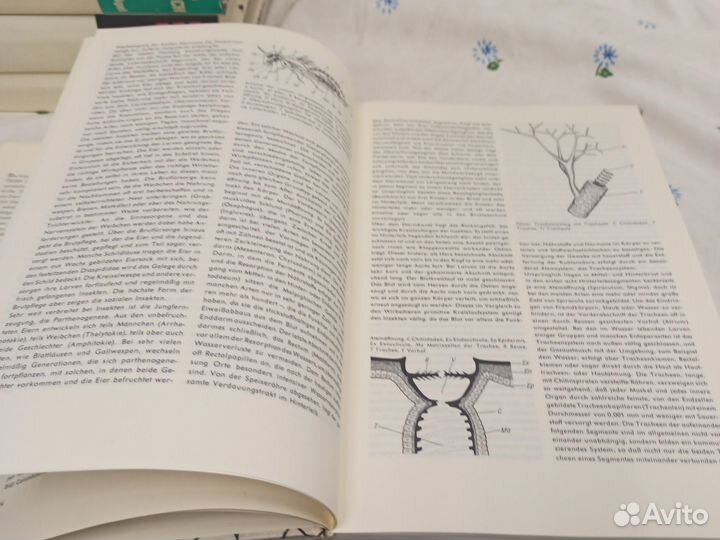 Urania Tierreich Urania Pflanzenreich 8 книг 1967